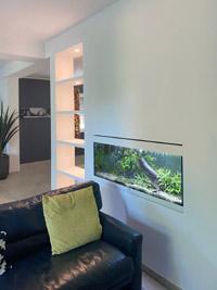 Aquarium in der Wand integriert / Aquarium in der Wand eingelassen