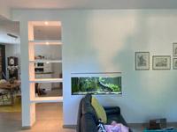 Aquarium in der Wand integriert / Aquarium in der Wand eingelassen