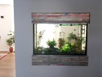 Aquarium ist in der Wand eingelassen - durch das Aquarium den Blick ins nächste Zimmer, Einfamilienhaus in Lengerich NRW